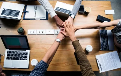 Our brand visibility improved across platforms